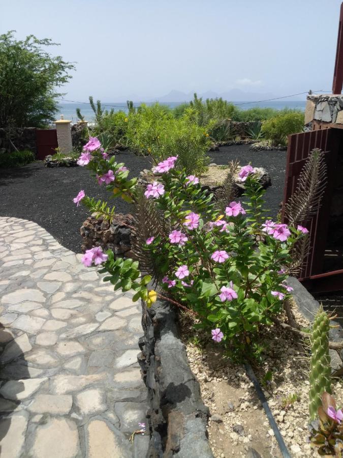 Coin De Paradis,Pavillon Doucimar Porto Novo Eksteriør bilde